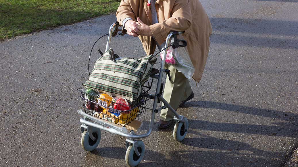 Ältere Frau schiebt einen Rollator mit Gemüse und Kartoffeln. 